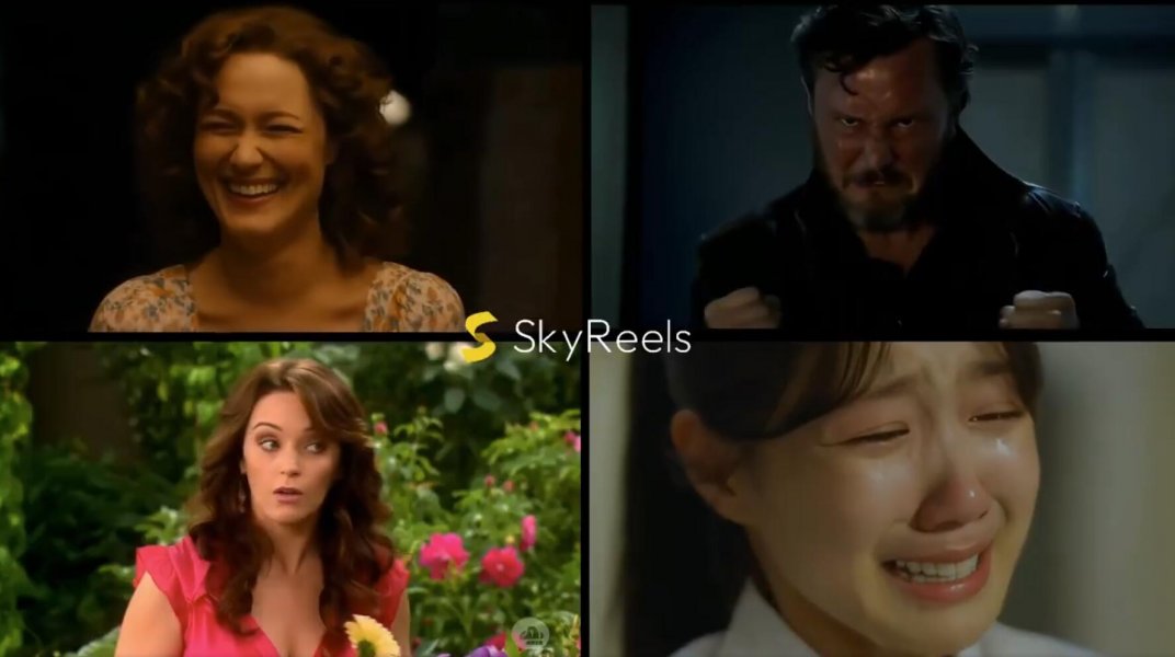 Skyreels (Online Platform)